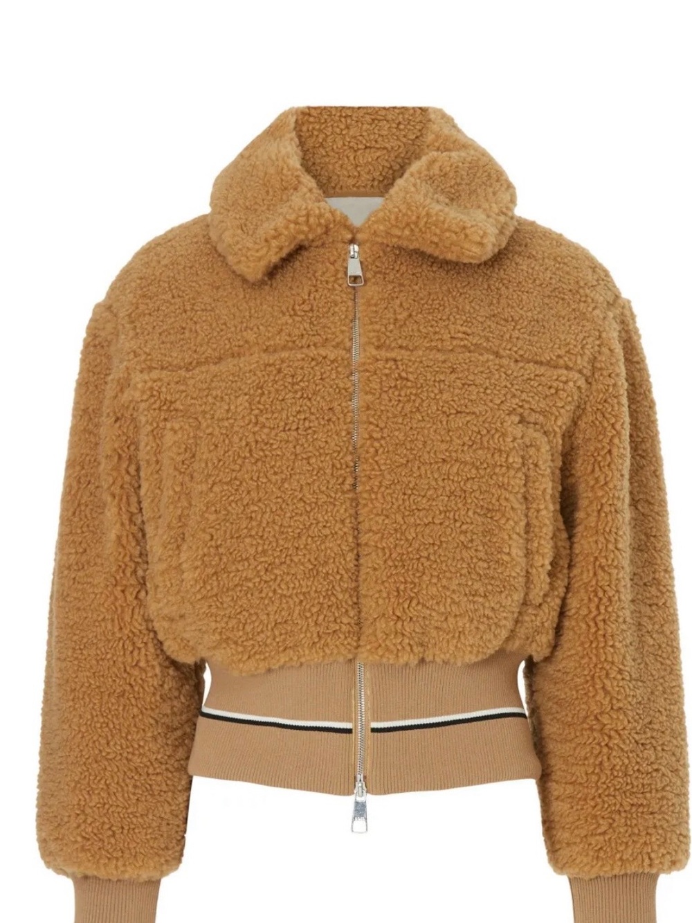 NWT- Hugo Boss Teddy Zip-Front Jatedy Jacket